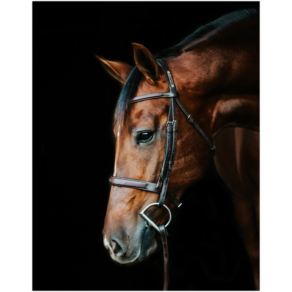 Monterey Series 4, Print