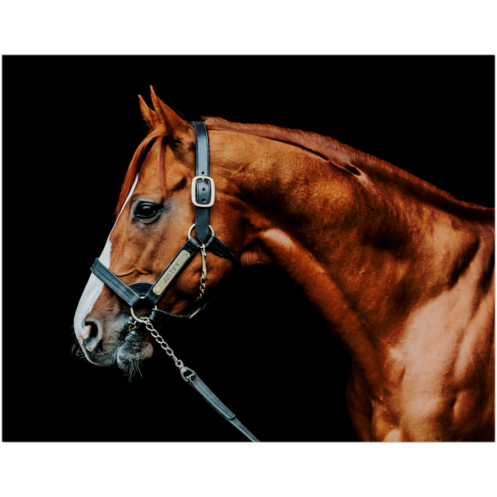 Justify Series 3, Print