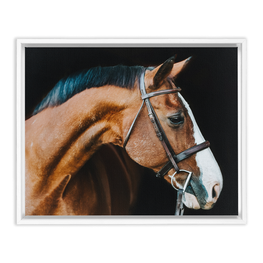 Huntsman Series 3, Framed Canvas