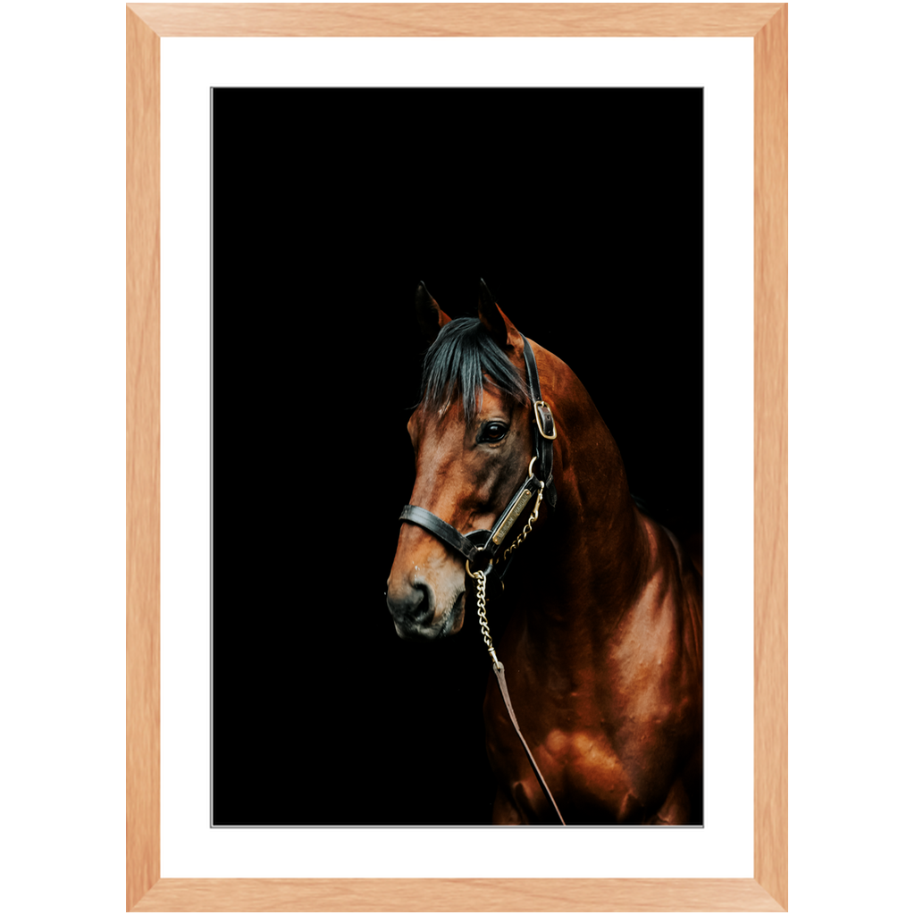American Pharoah Series 2, Framed Prints
