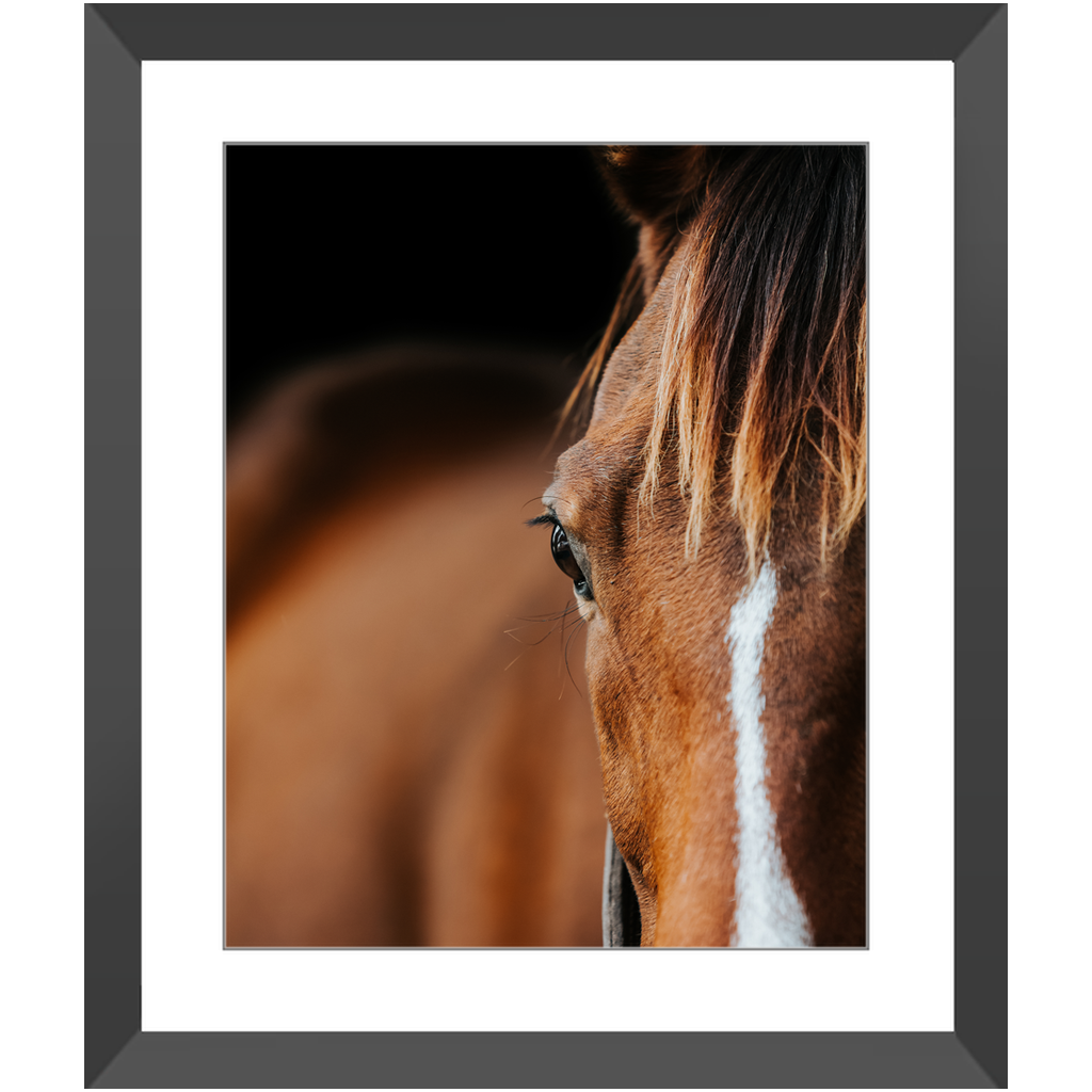 Majestic Series 1, Framed Print