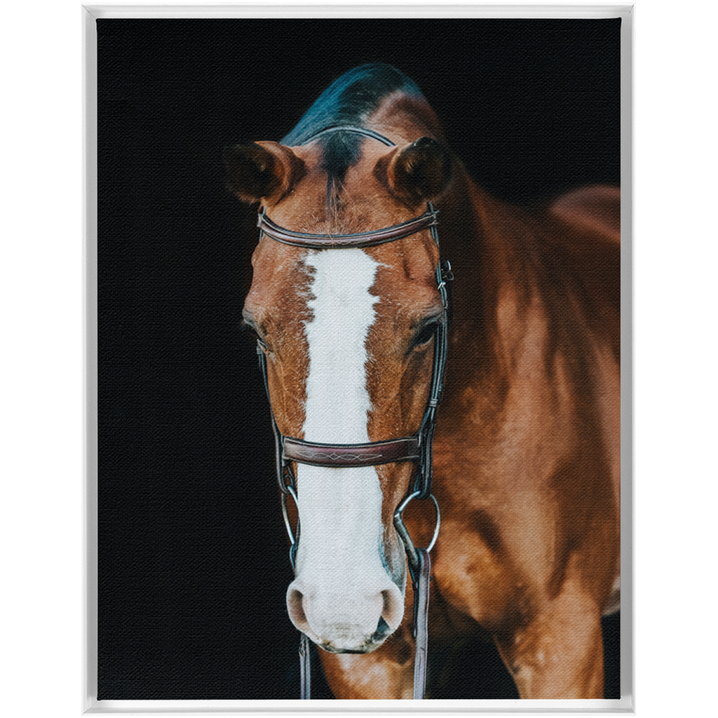 Huntsman Series 6, Framed Canvas