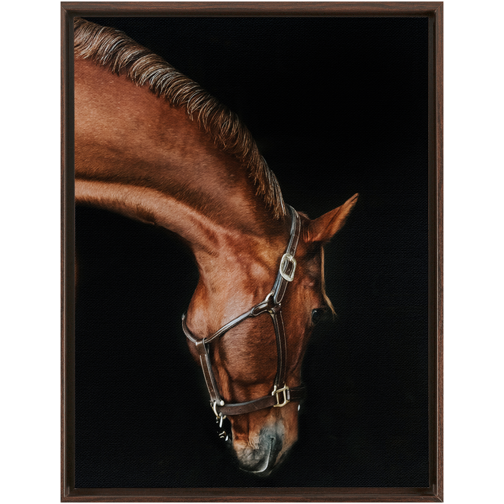 Django Series 6, Framed Canvas