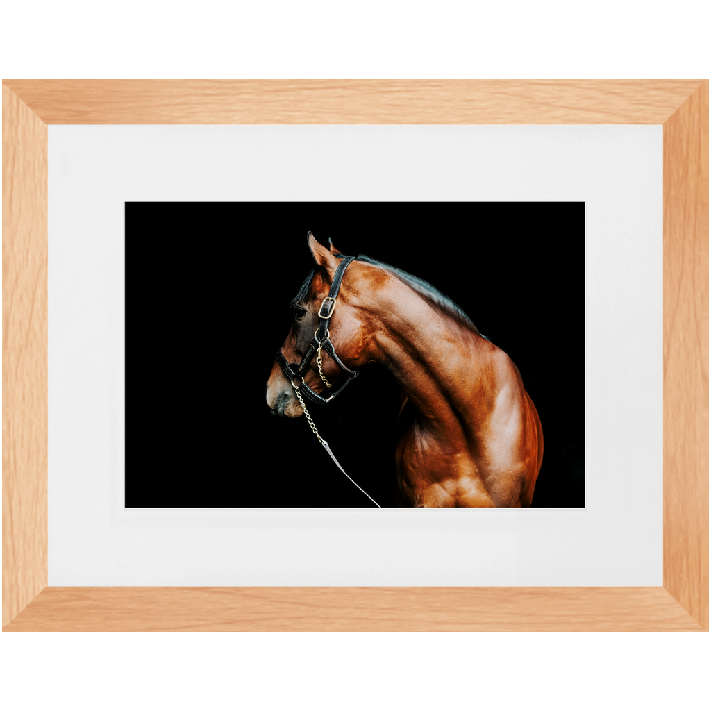 American Pharoah Series 5, Framed Print