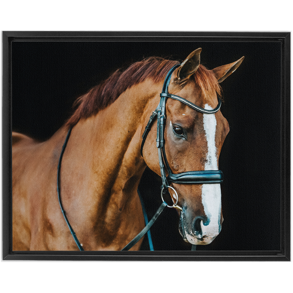 Hudson Series 1, Framed Canvas