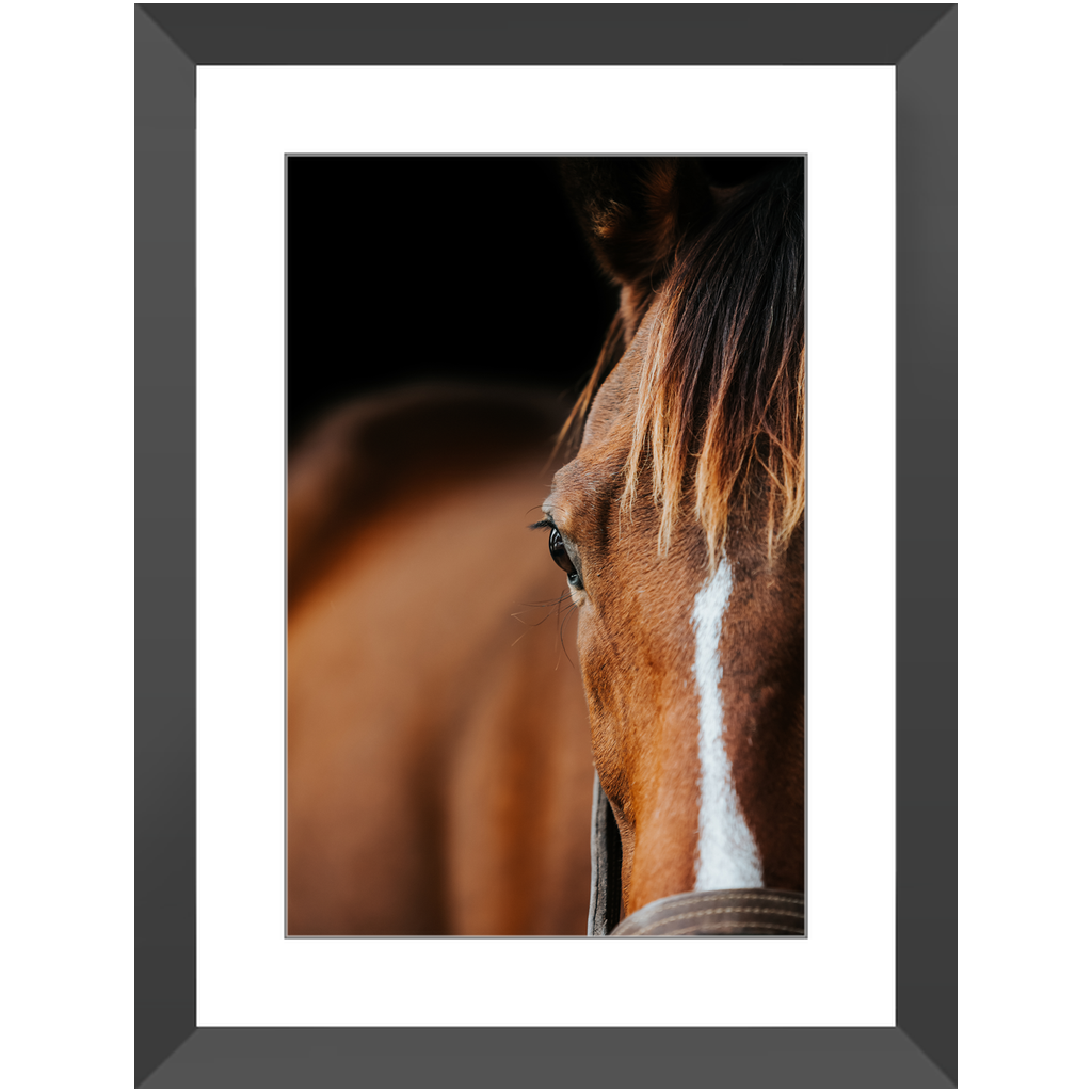 Majestic Series 1, Framed Print