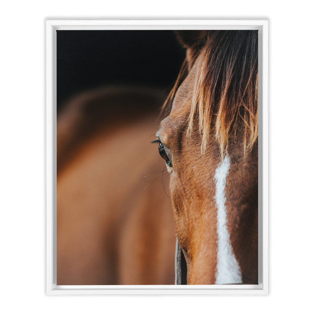 Majestic 1, Framed Canvas