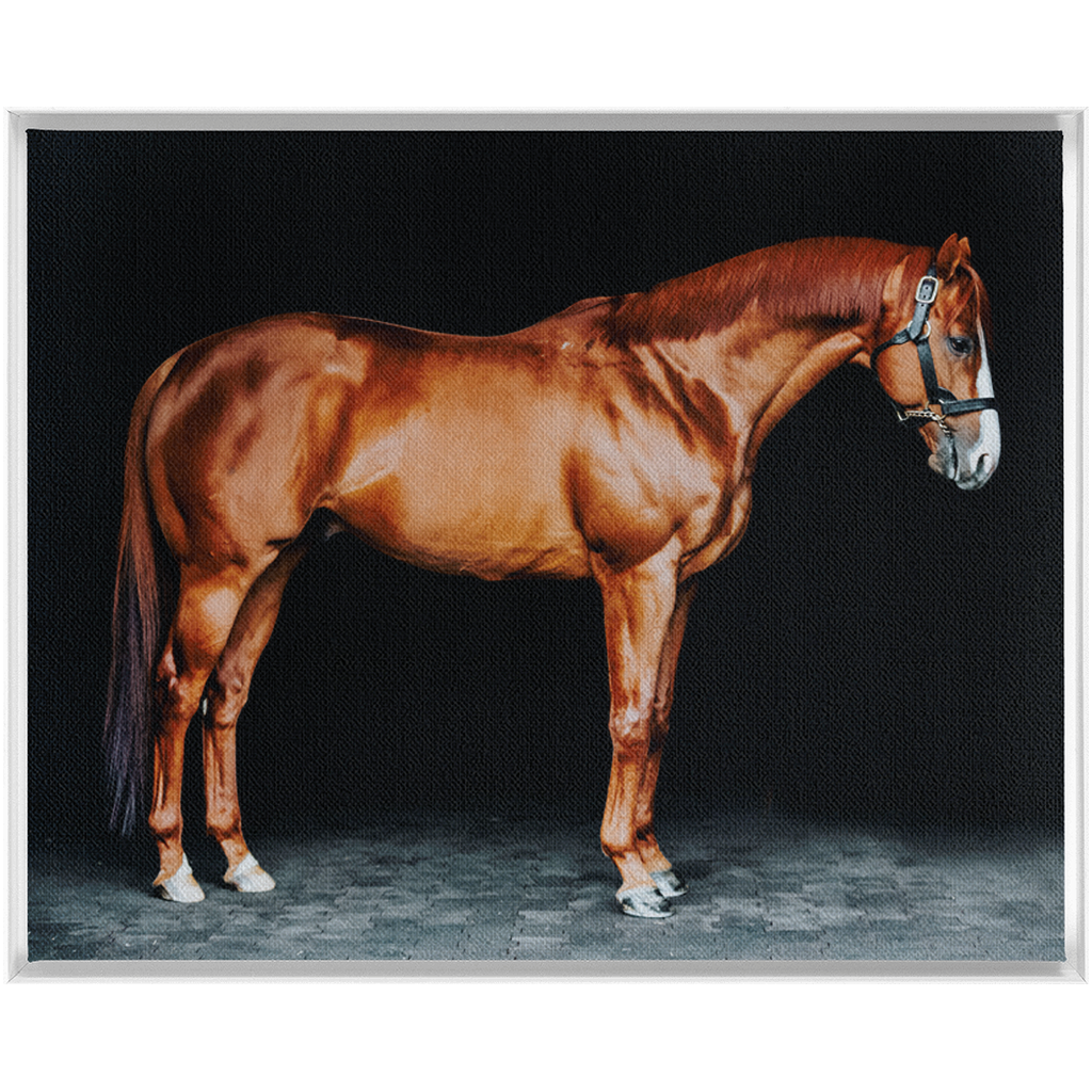Justify Series 6, Framed Canvas