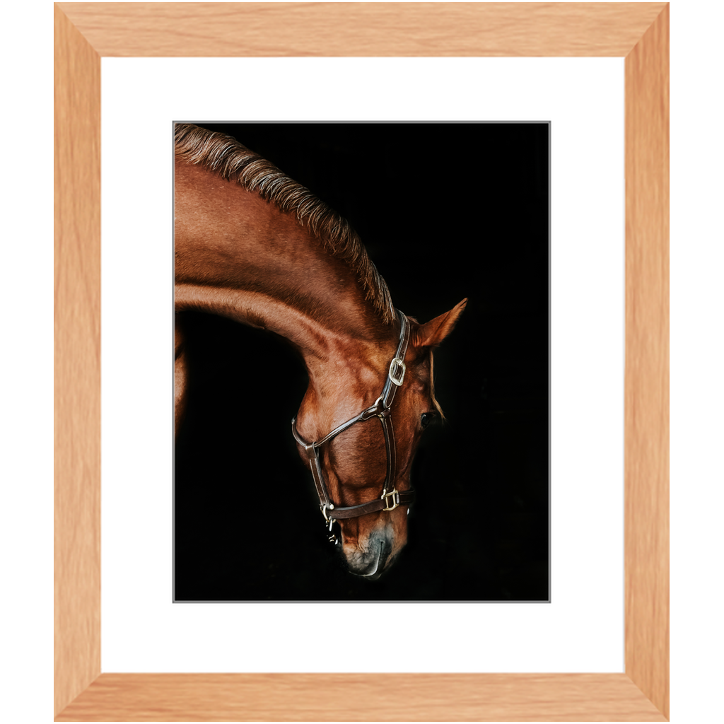 Django Series 6, Framed Print