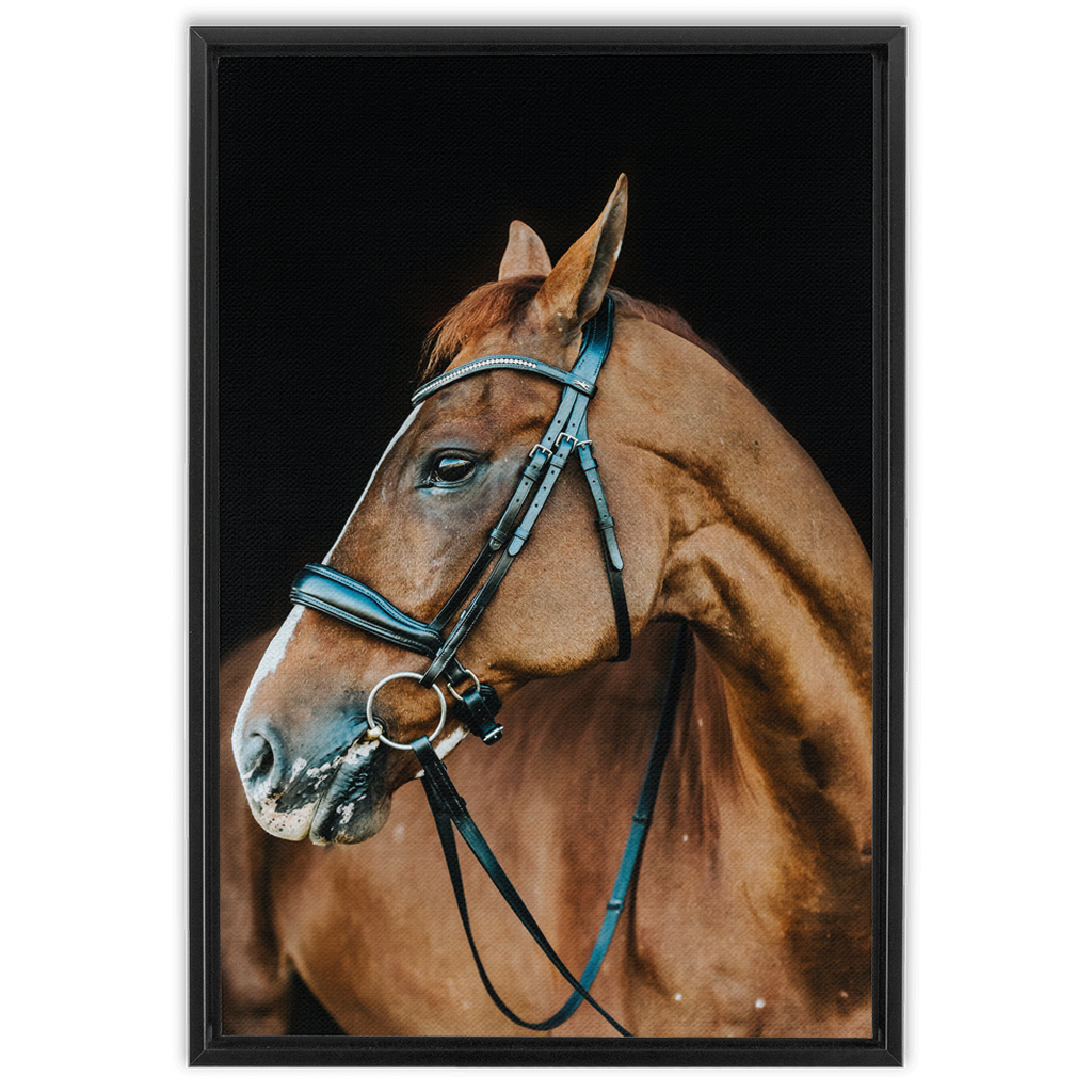 Hudson Series 6, Framed Canvas