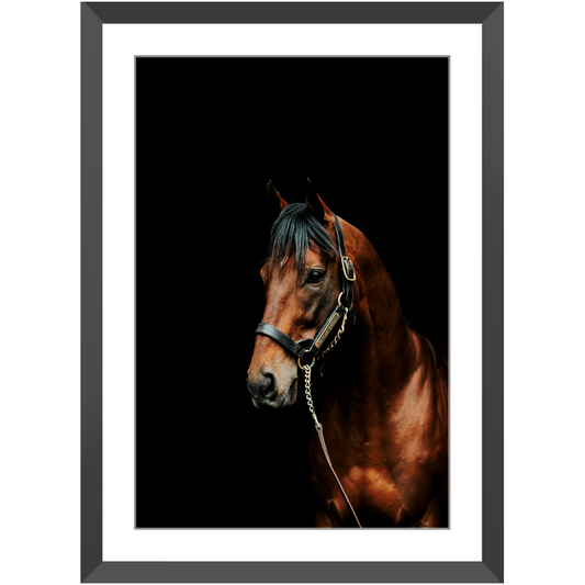 American Pharoah Series 2, Framed Prints