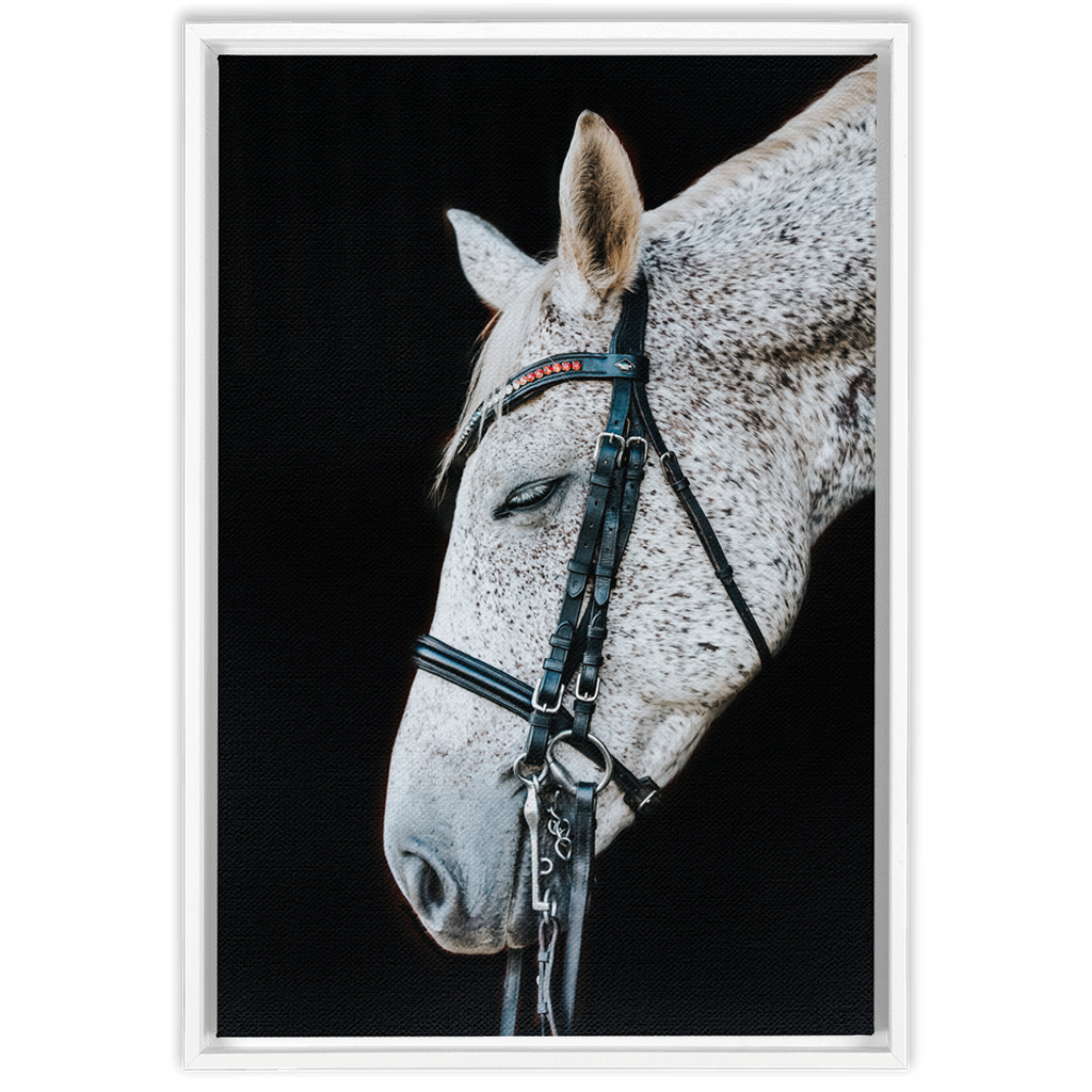 Apollo Series 1, Framed Canvas