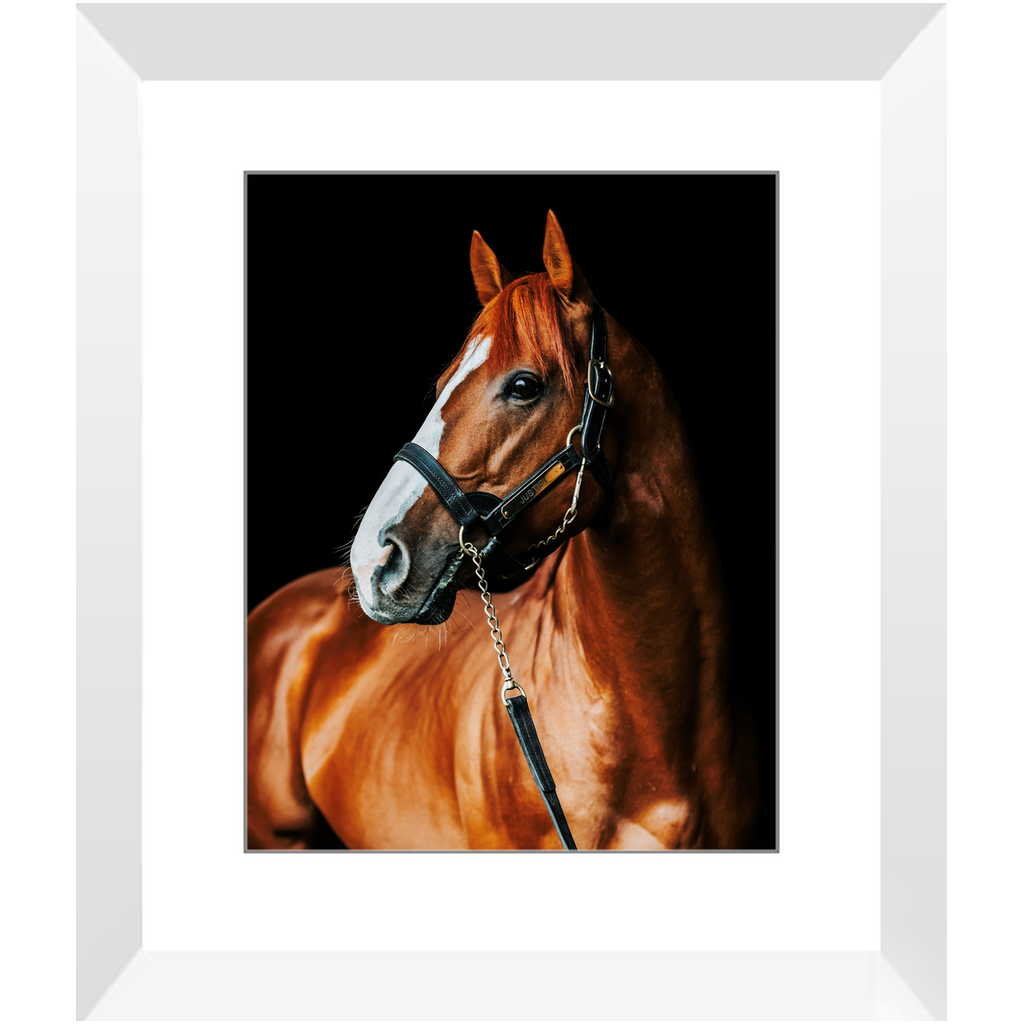 Justify Series 1, Framed Print