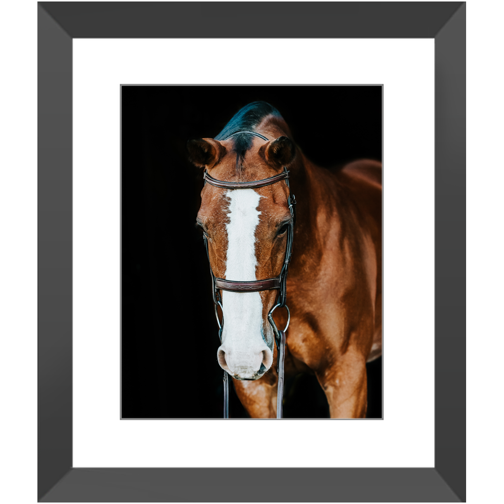 Huntsman Series 6, Framed Print
