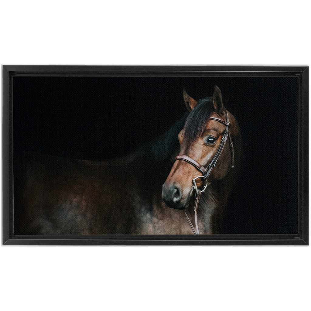 Jovial Series 2, Framed Canvas