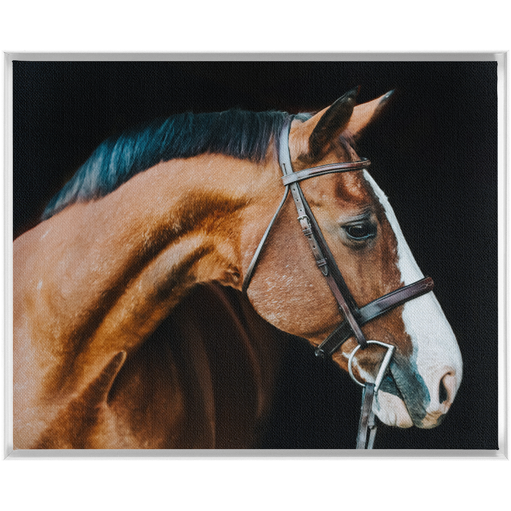 Huntsman Series 3, Framed Canvas