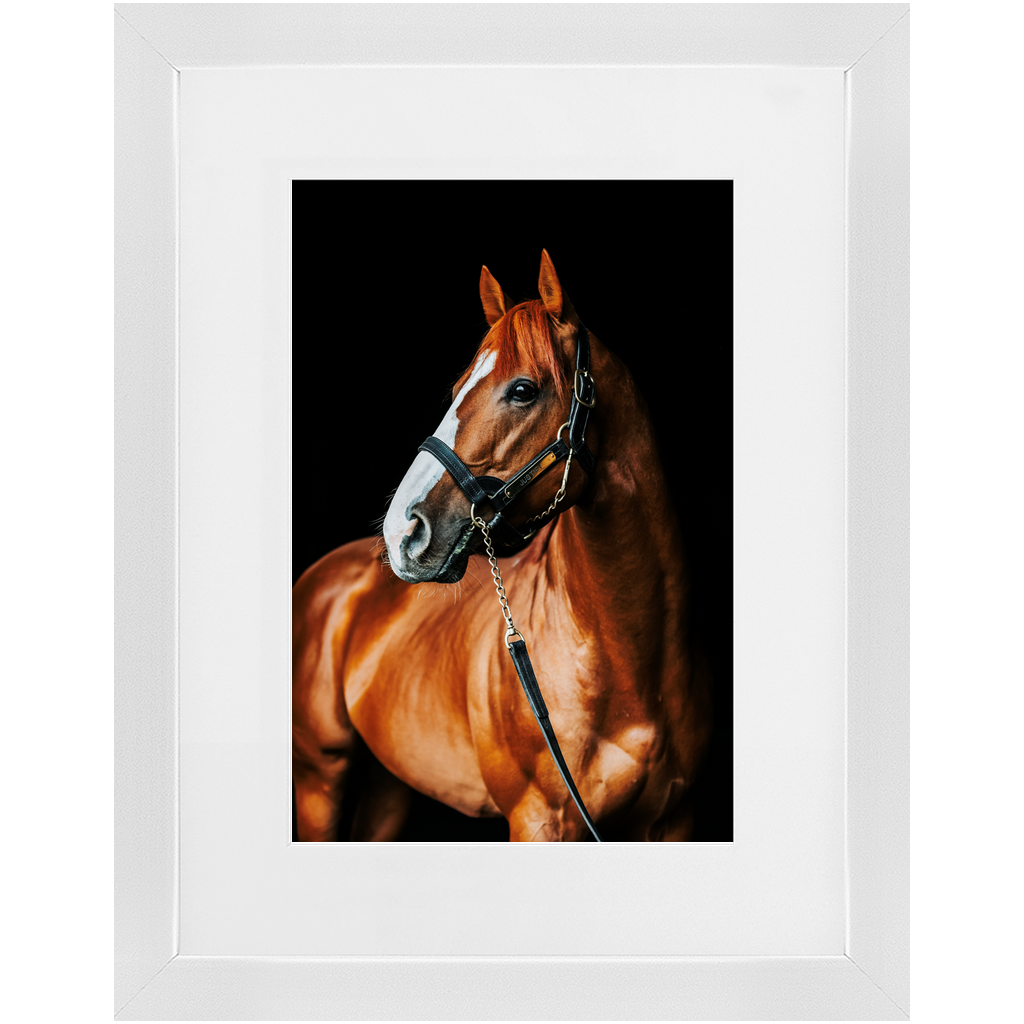 Justify Series 1, Framed Print