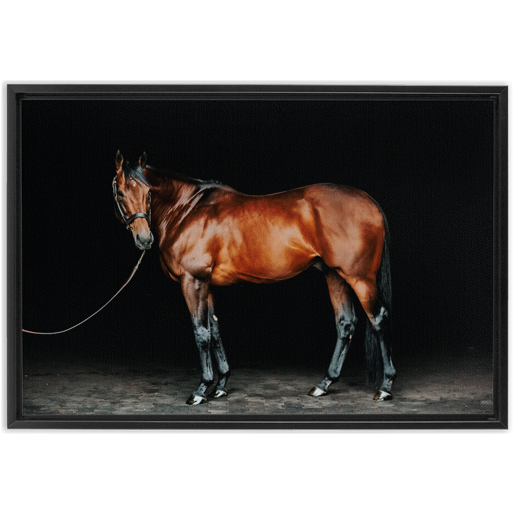 American Pharoah Series 1, Framed Canvas