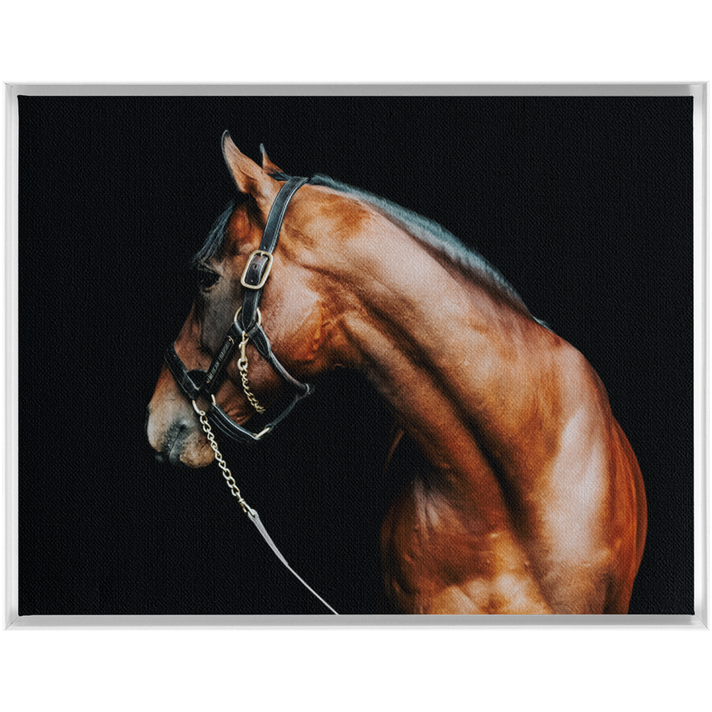 American Pharoah Series 5, Framed Canvas