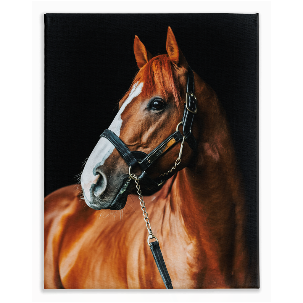 Justify Series 1, Stretched Canvas