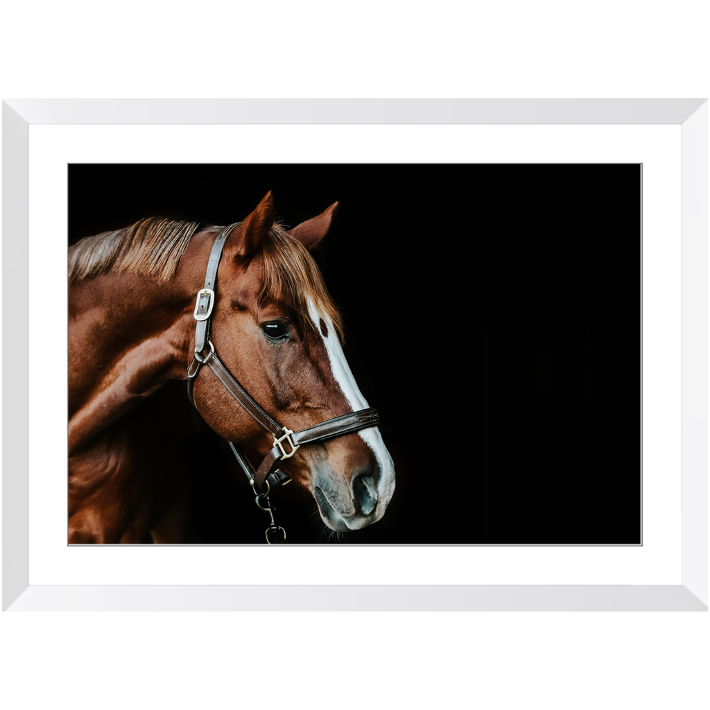 Django Series 5, Framed Print
