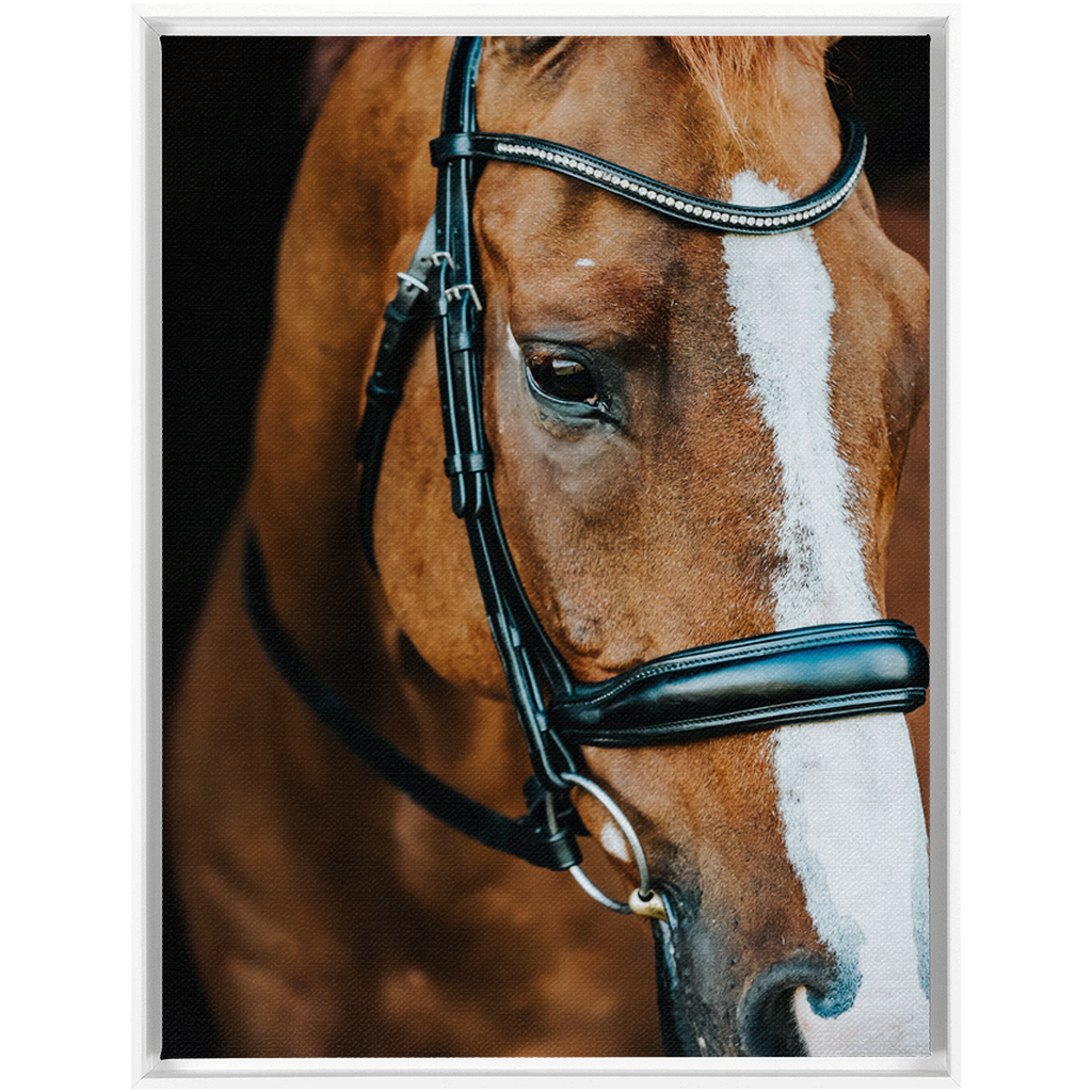 Hudson Series 3, Framed Canvas
