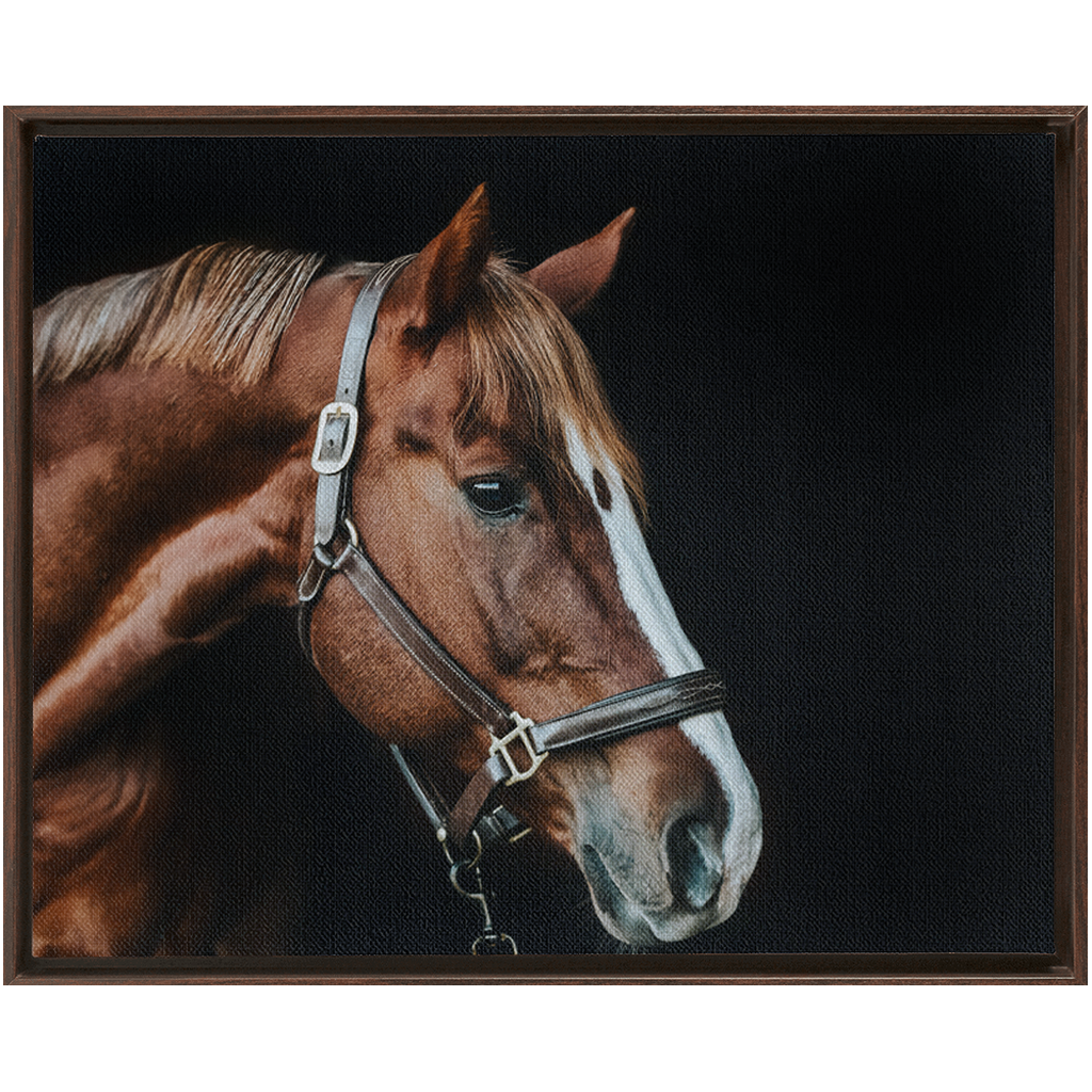 Django Series 5, Framed Canvas