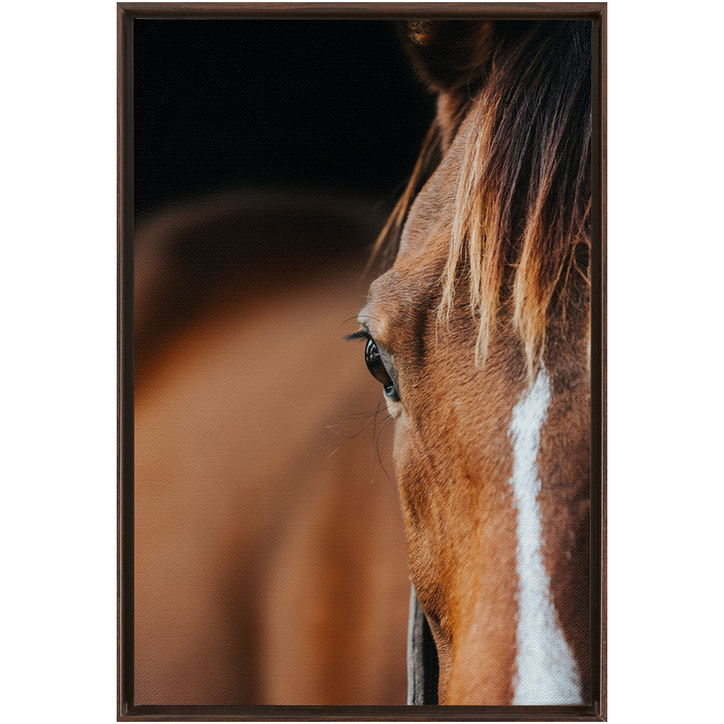 Majestic 1, Framed Canvas