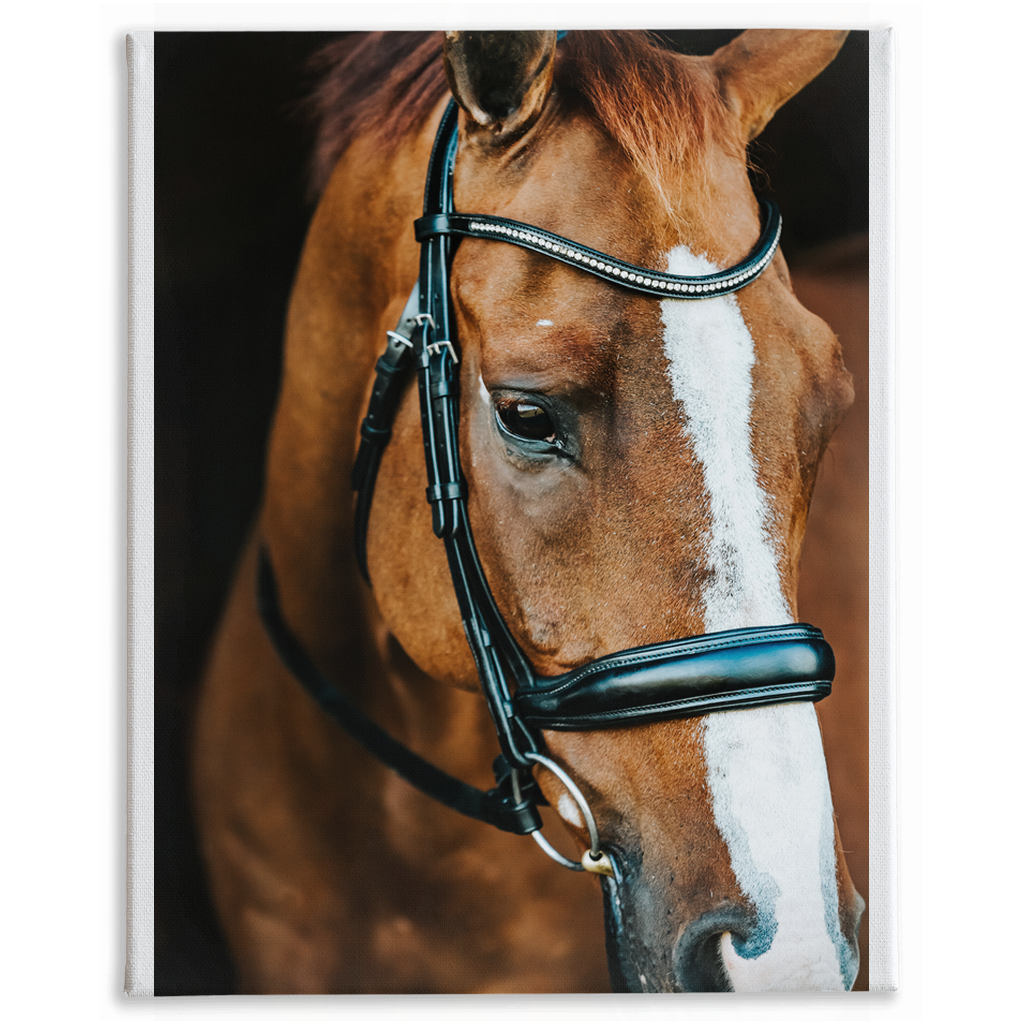 Hudson Series 3, Stretched Canvas