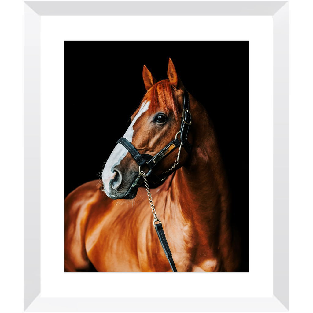 Justify Series 1, Framed Print