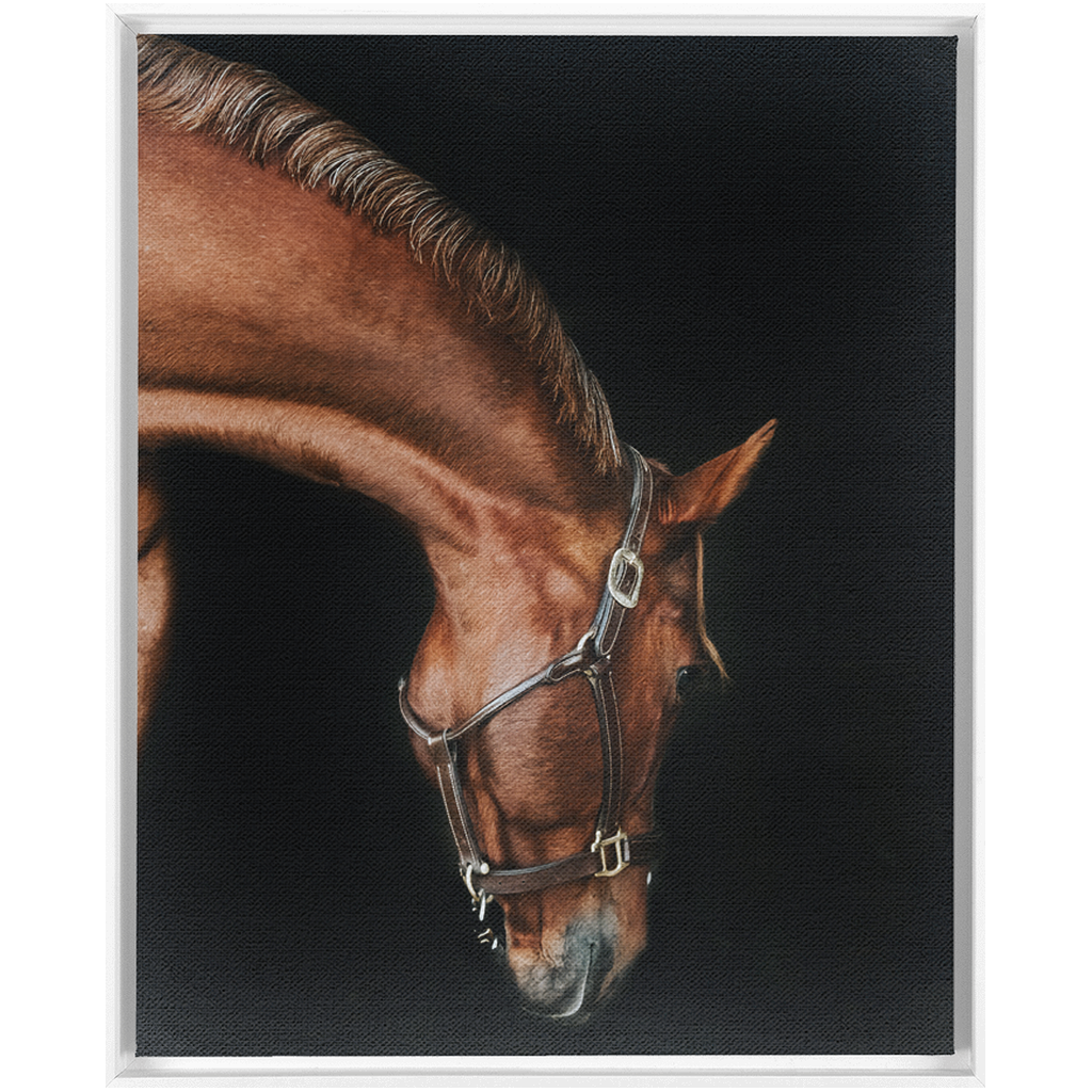 Django Series 6, Framed Canvas