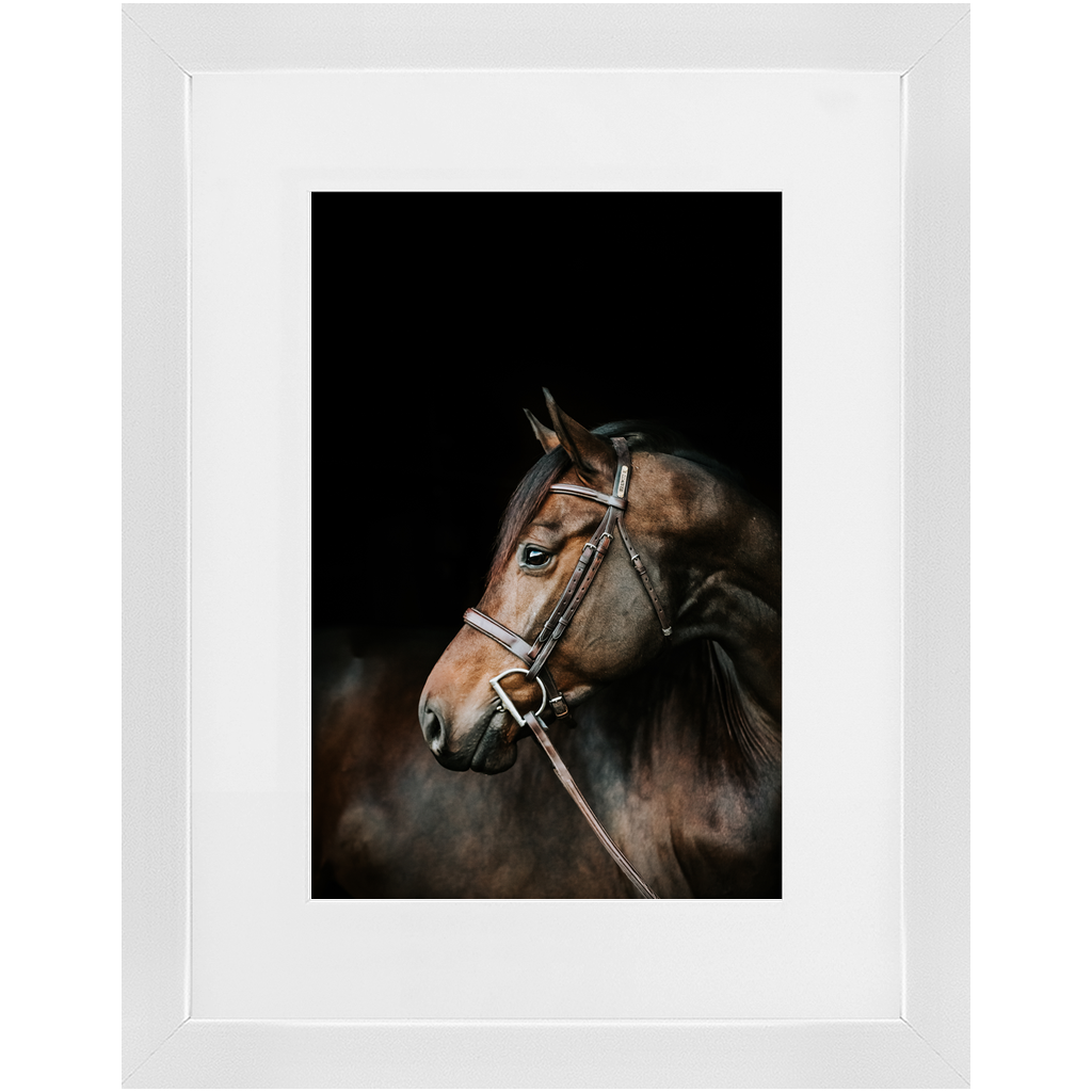 Jovial Series 3, Framed Print