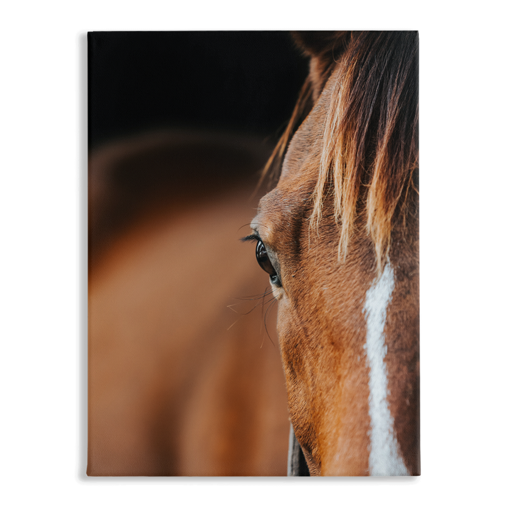 Majestic 1, Stretched Canvas