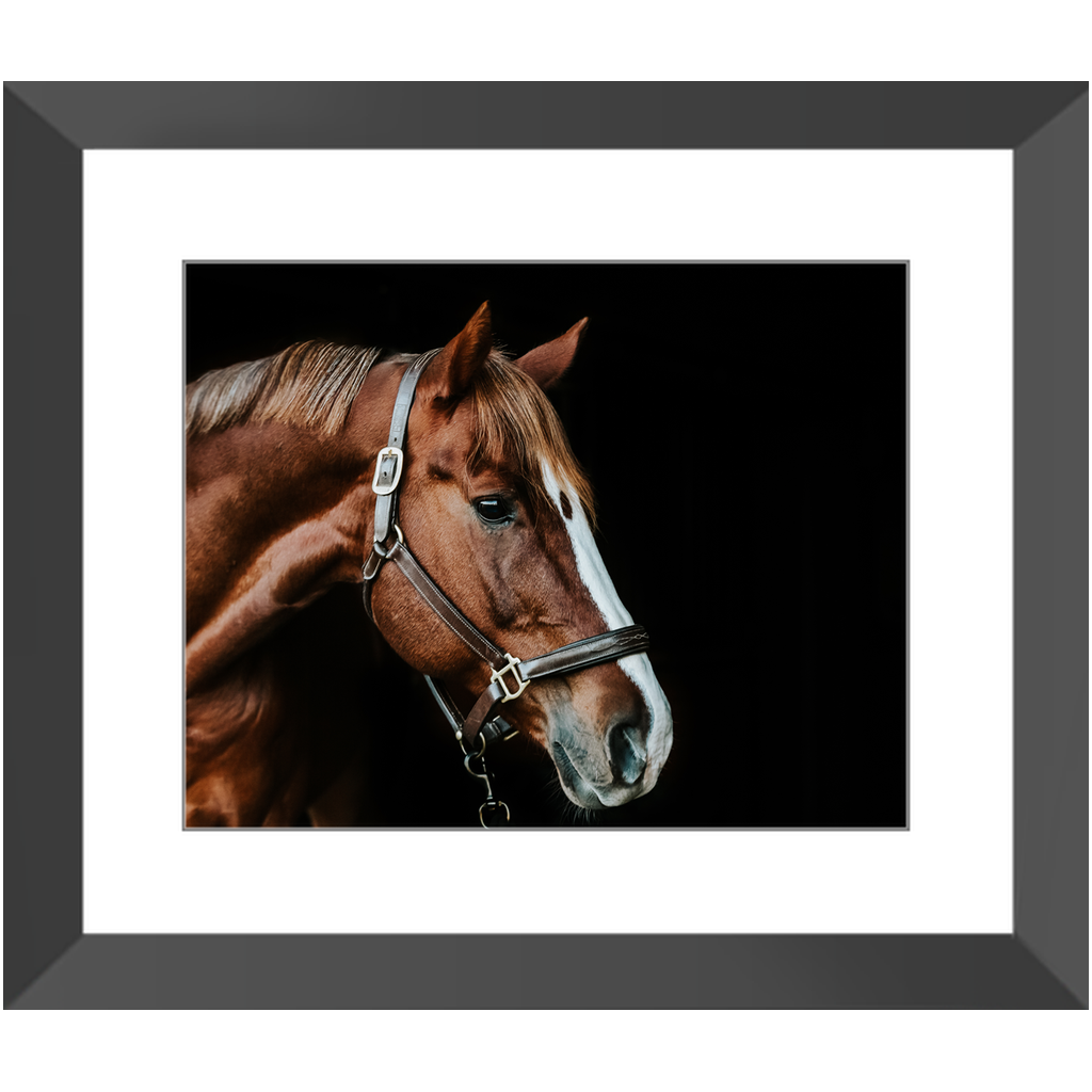 Django Series 5, Framed Print