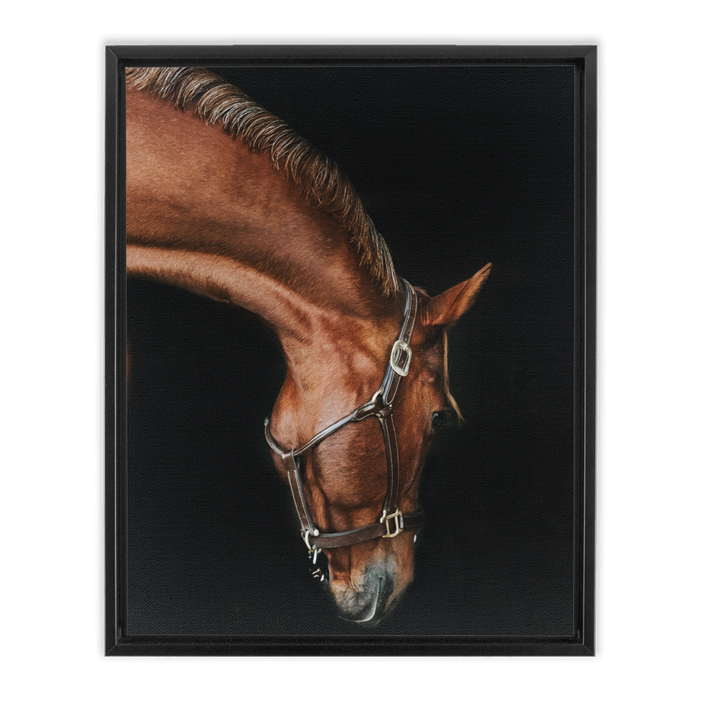 Django Series 6, Framed Canvas