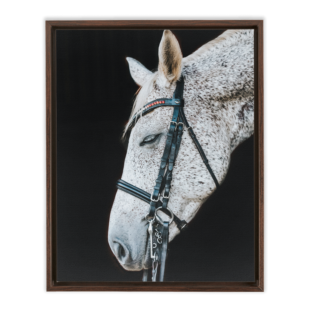 Apollo Series 1, Framed Canvas