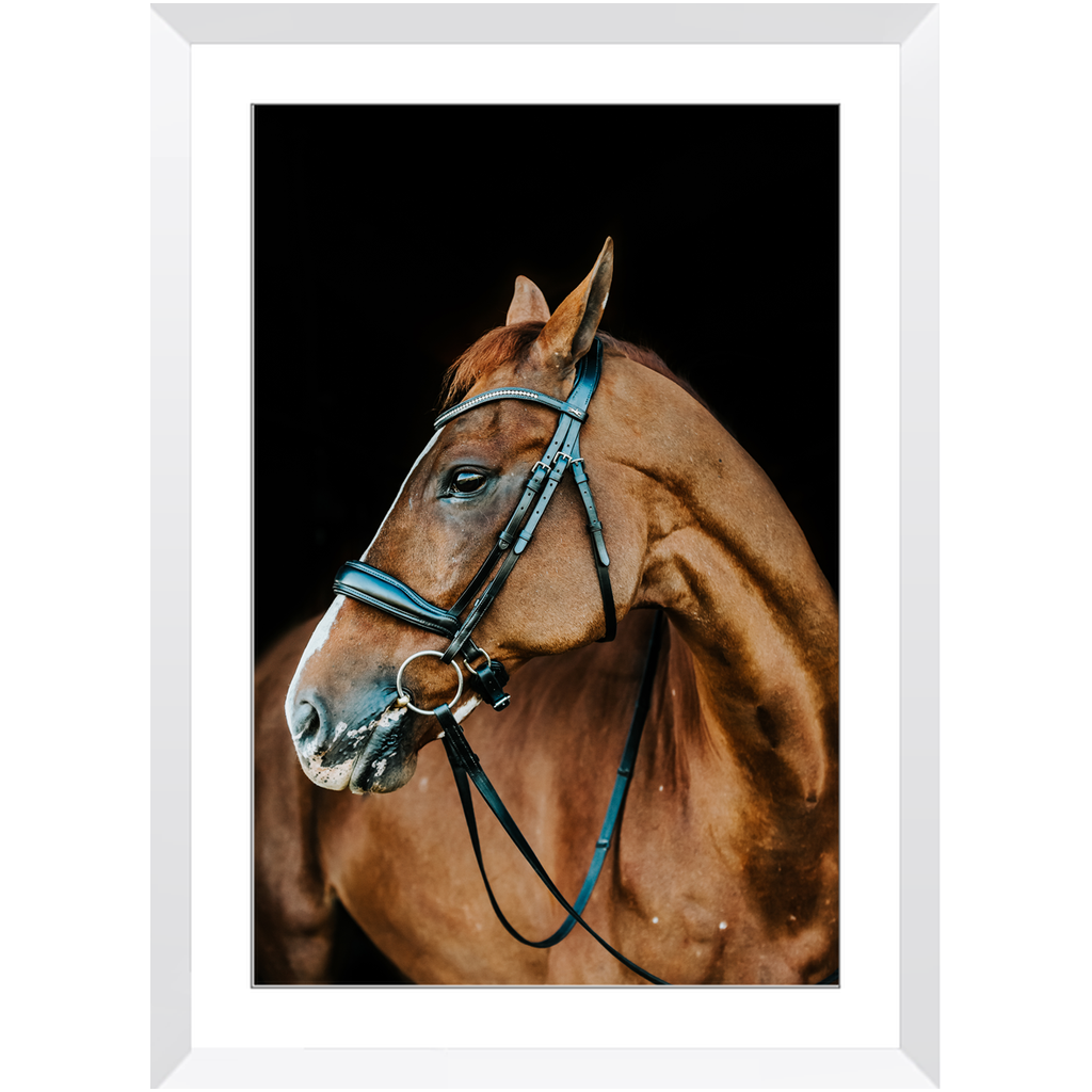 Hudson Series 6, Framed Print