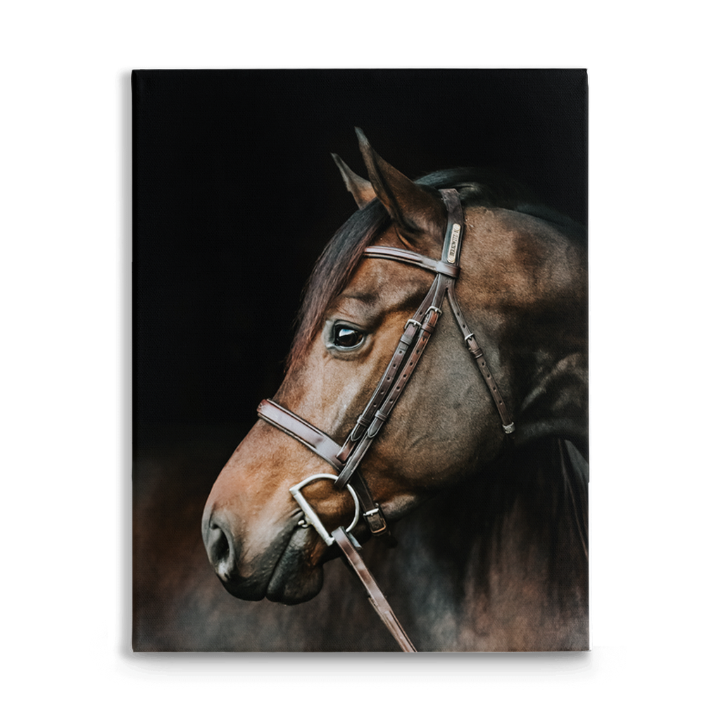 Jovial Series 3, Stretched Canvas