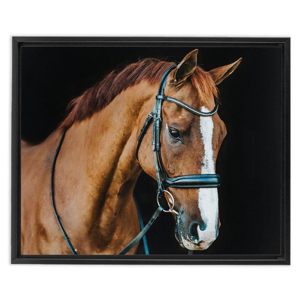 Hudson Series 1, Framed Canvas