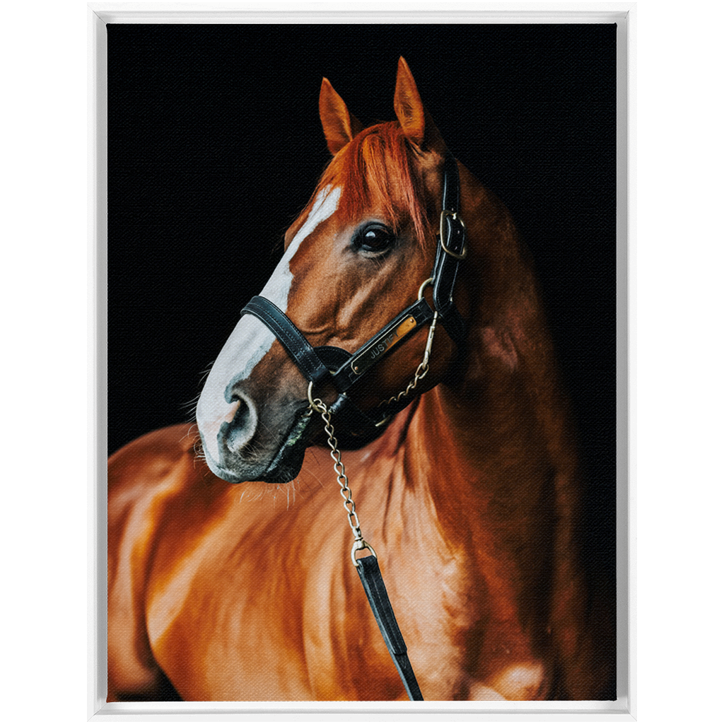 Justify Series 1, Framed Canvas