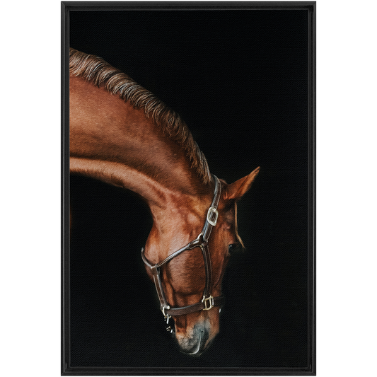 Django Series 6, Framed Canvas