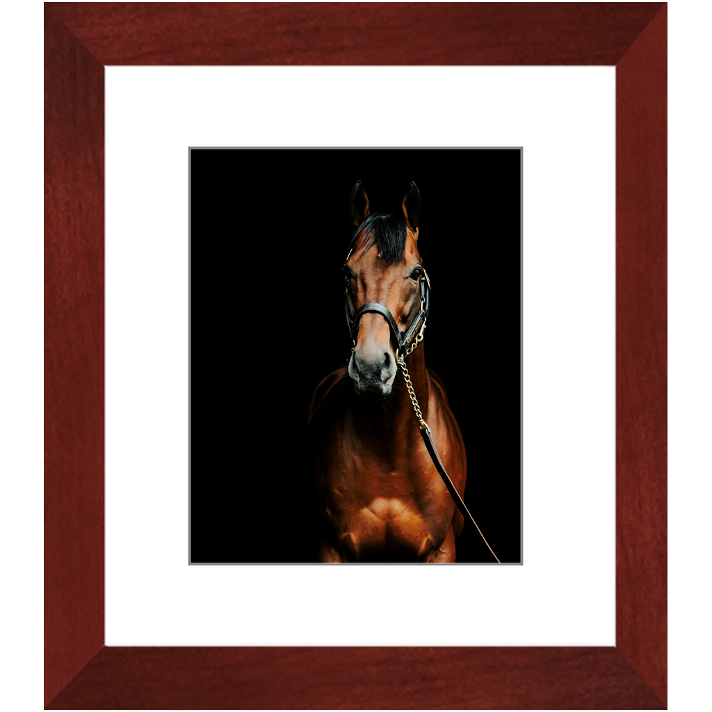 American Pharoah Series 4, Framed Print