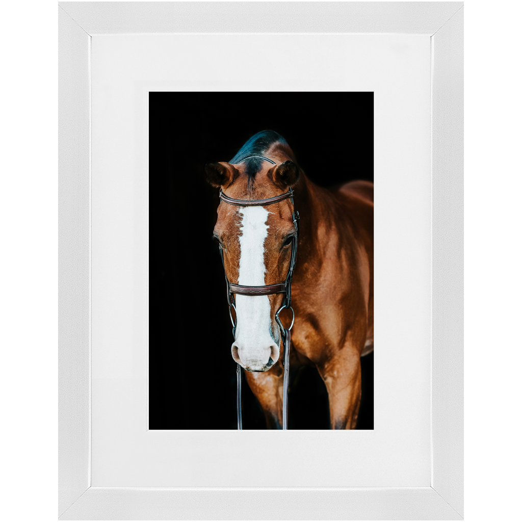 Huntsman Series 6, Framed Print