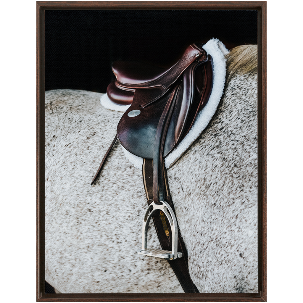 Apollo Series 3, Framed Canvas