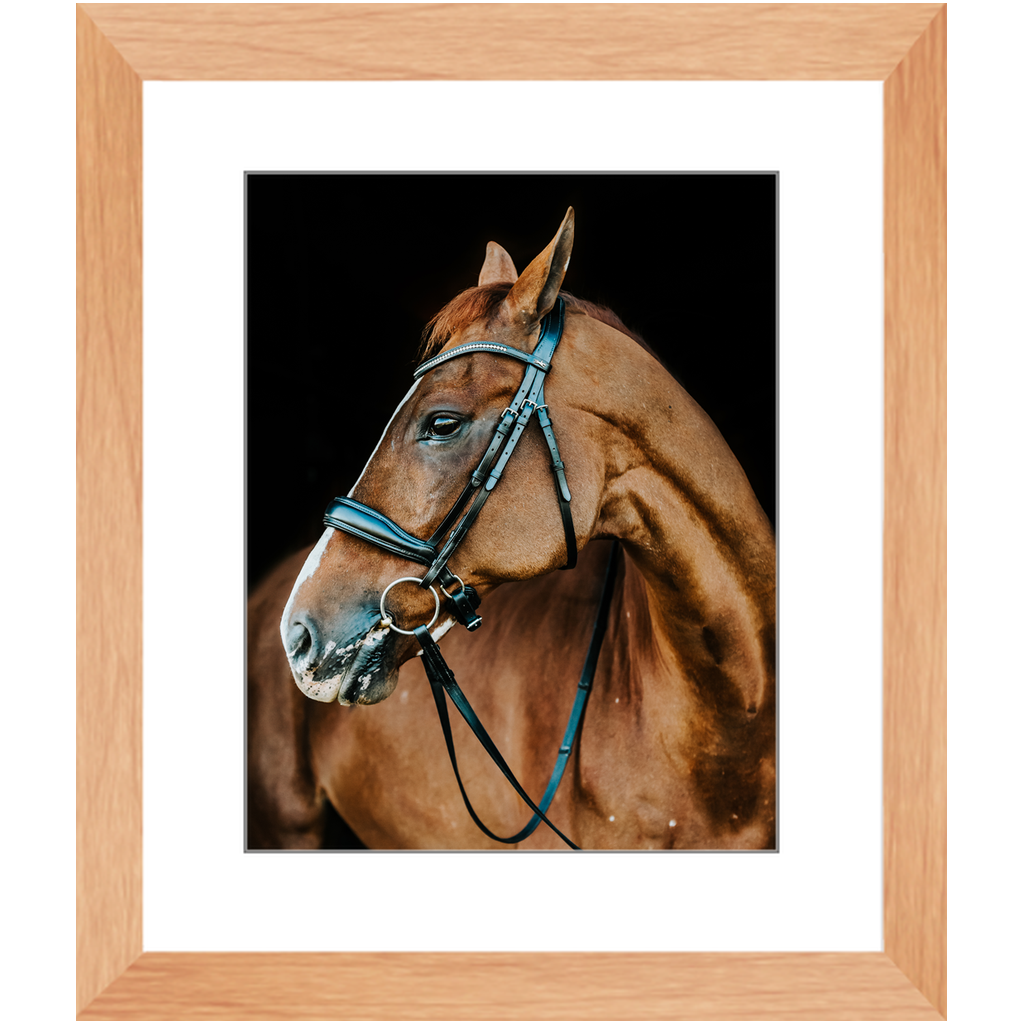 Hudson Series 6, Framed Print