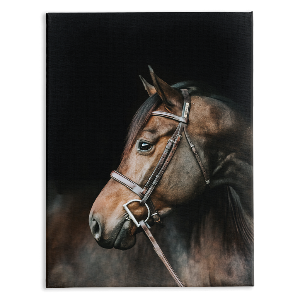 Jovial Series 3, Stretched Canvas