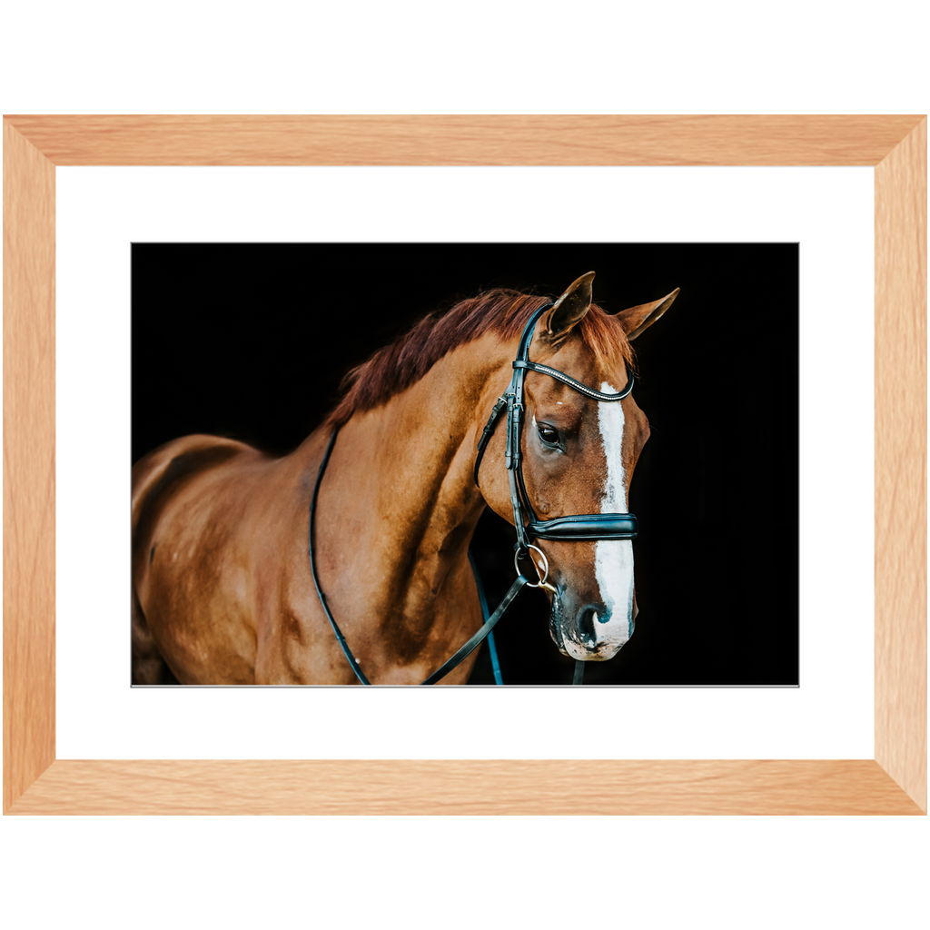 Hudson Series 1, Framed Print