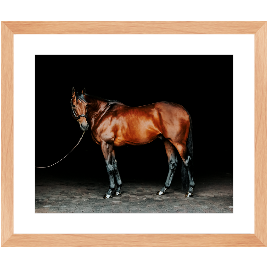American Pharoah Series 1, Framed Print