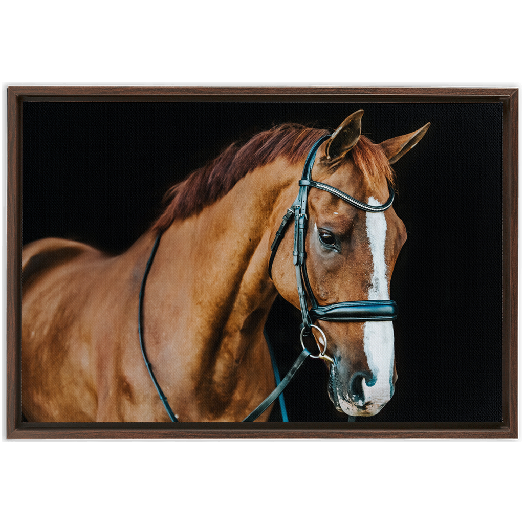 Hudson Series 1, Framed Canvas