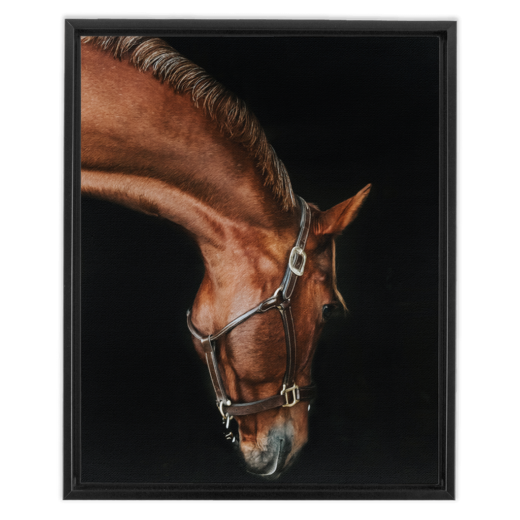 Django Series 6, Framed Canvas